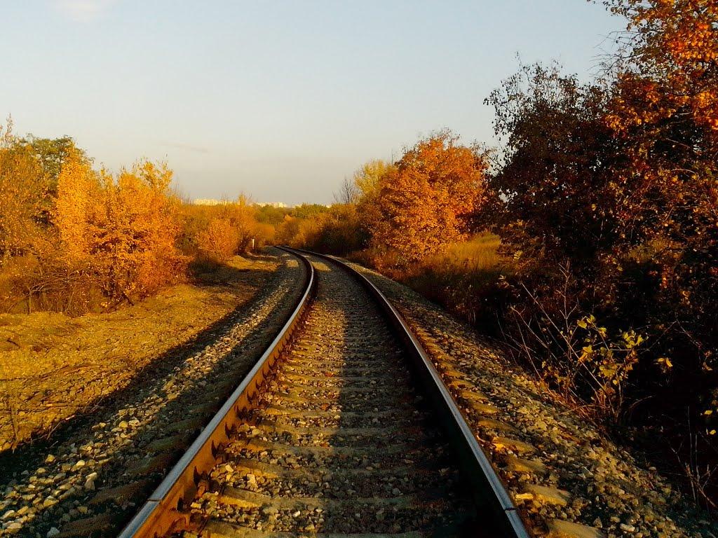 Лисичанськ з panoramio.com (ч.3) - Lysychansk