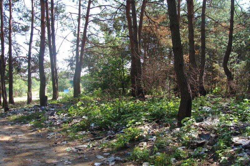 Мотовилівська Слобідка з panoramio.com - Мотовилівська Слобідка