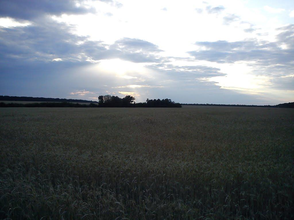 Долинівка з panoramio.com - Долинівка