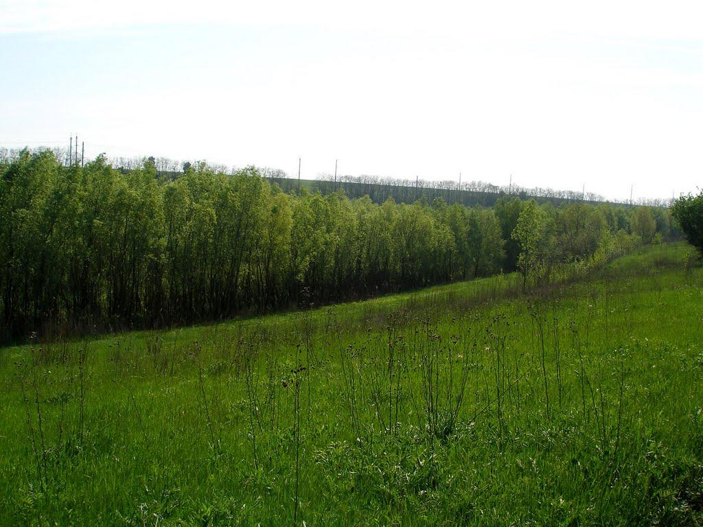 Дніпродзержинськ з panoramio.com (ч.4) - Дніпродзержинськ