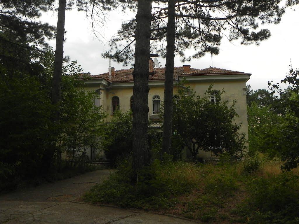 Научний з panoramio.com - Научний
