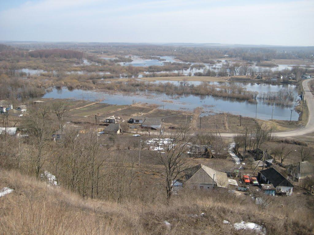 Срібне з panoramio.com - Срібне