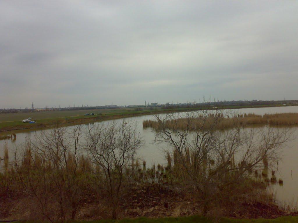 Новостепове з panoramio.com - Новостепове