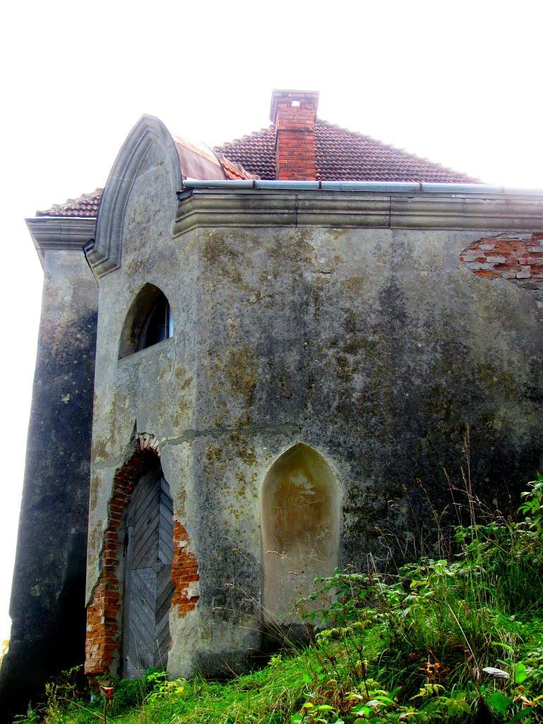 Свірж з panoramio.com - Свірж