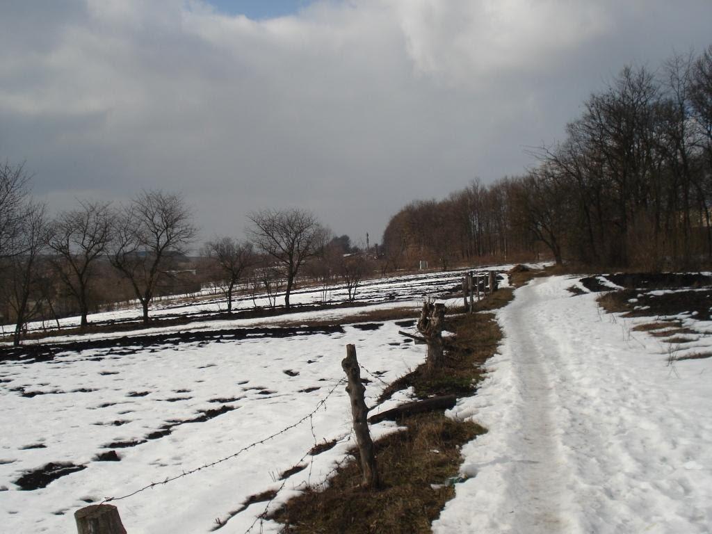 Томашівка з panoramio.com - Томашівка