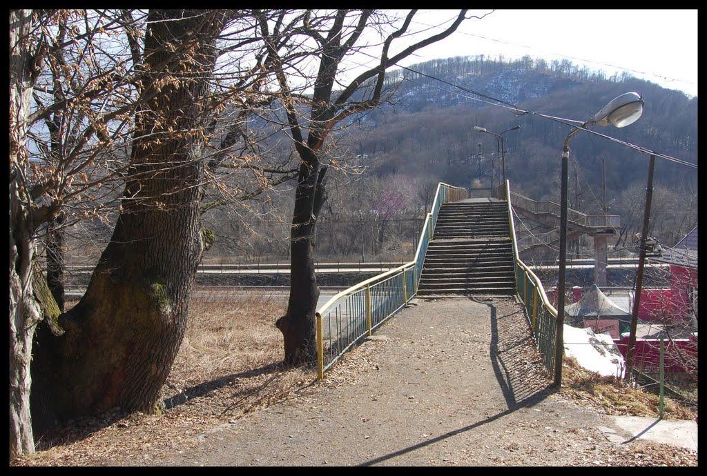 Карпати з panoramio.com - Карпати