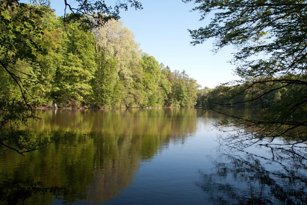 Васьківці з panoramio.com - Васьківці