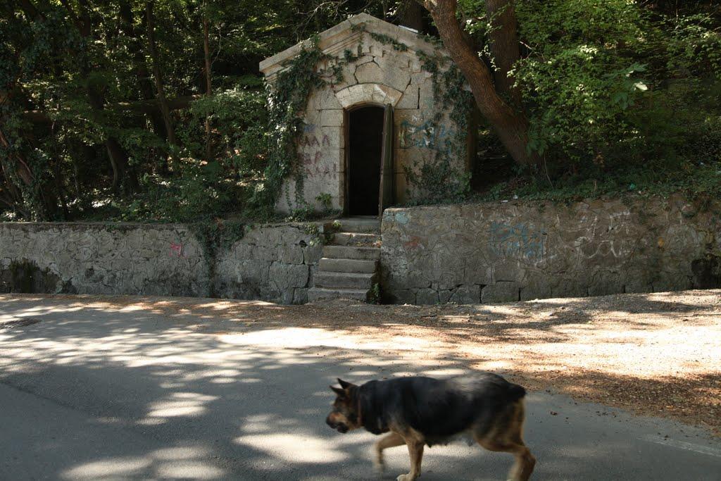 Нікіта з panoramio.com (ч.2) - Никита