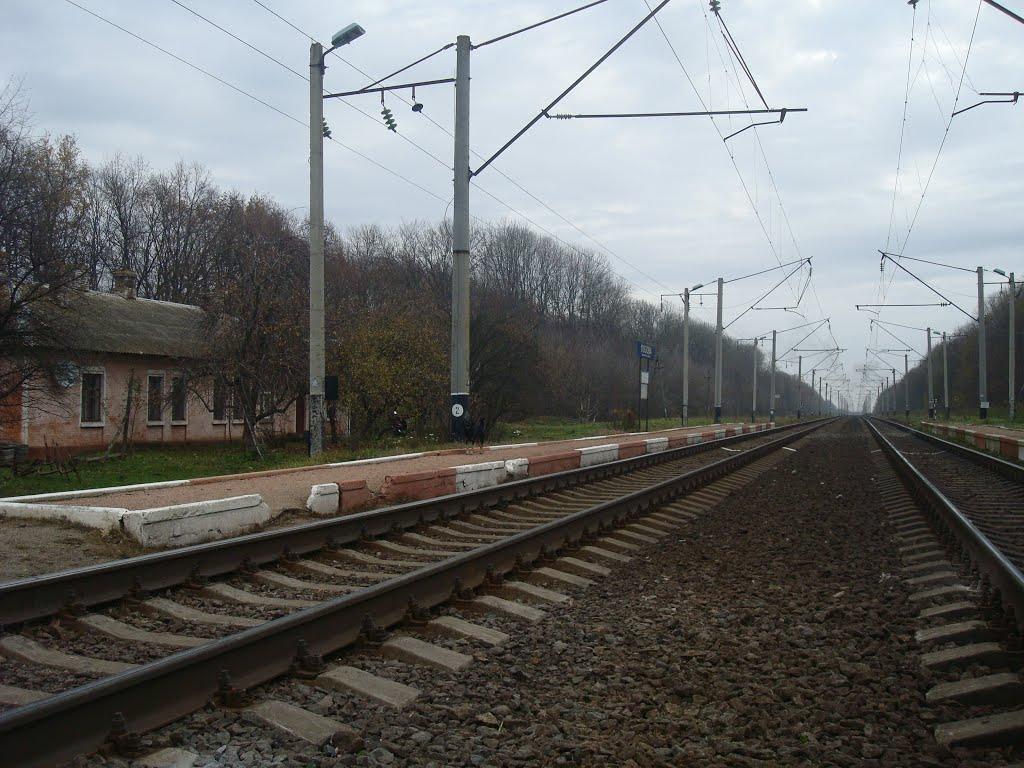 Лозова з panoramio.com - Лозова