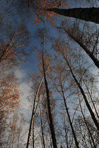 Зеленодольськ з panoramio.com - Zelenodolsk
