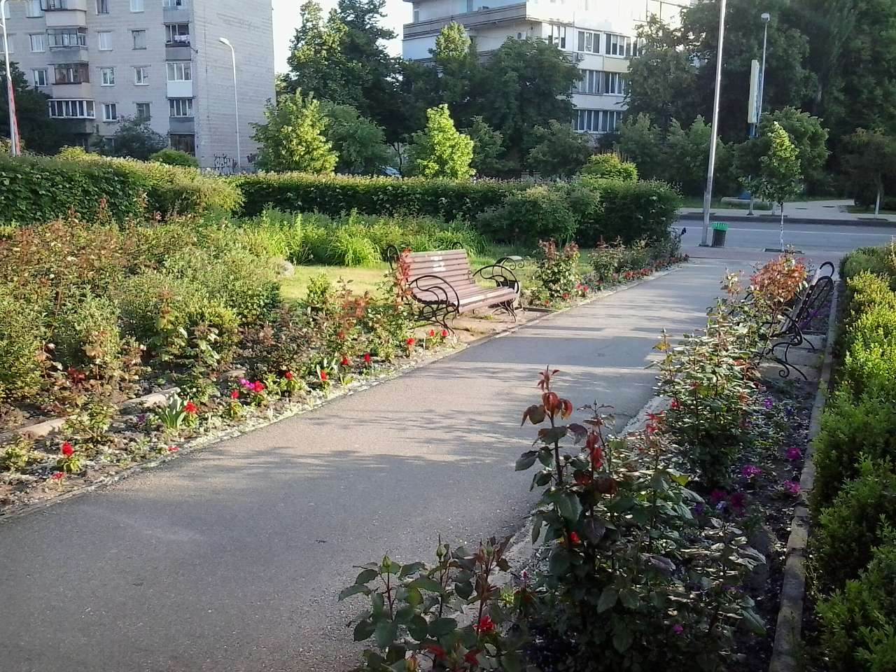 ГОЛОВНА ВУЛИЦЯ - Вишневе