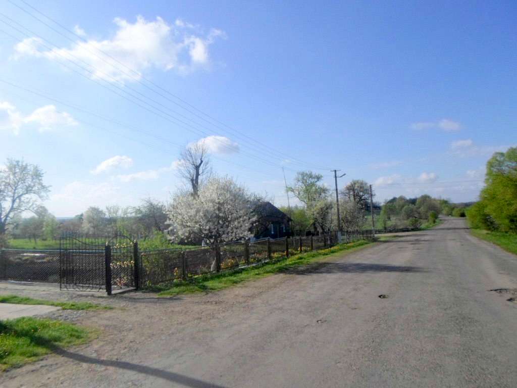 Краєвид - Sykhiv