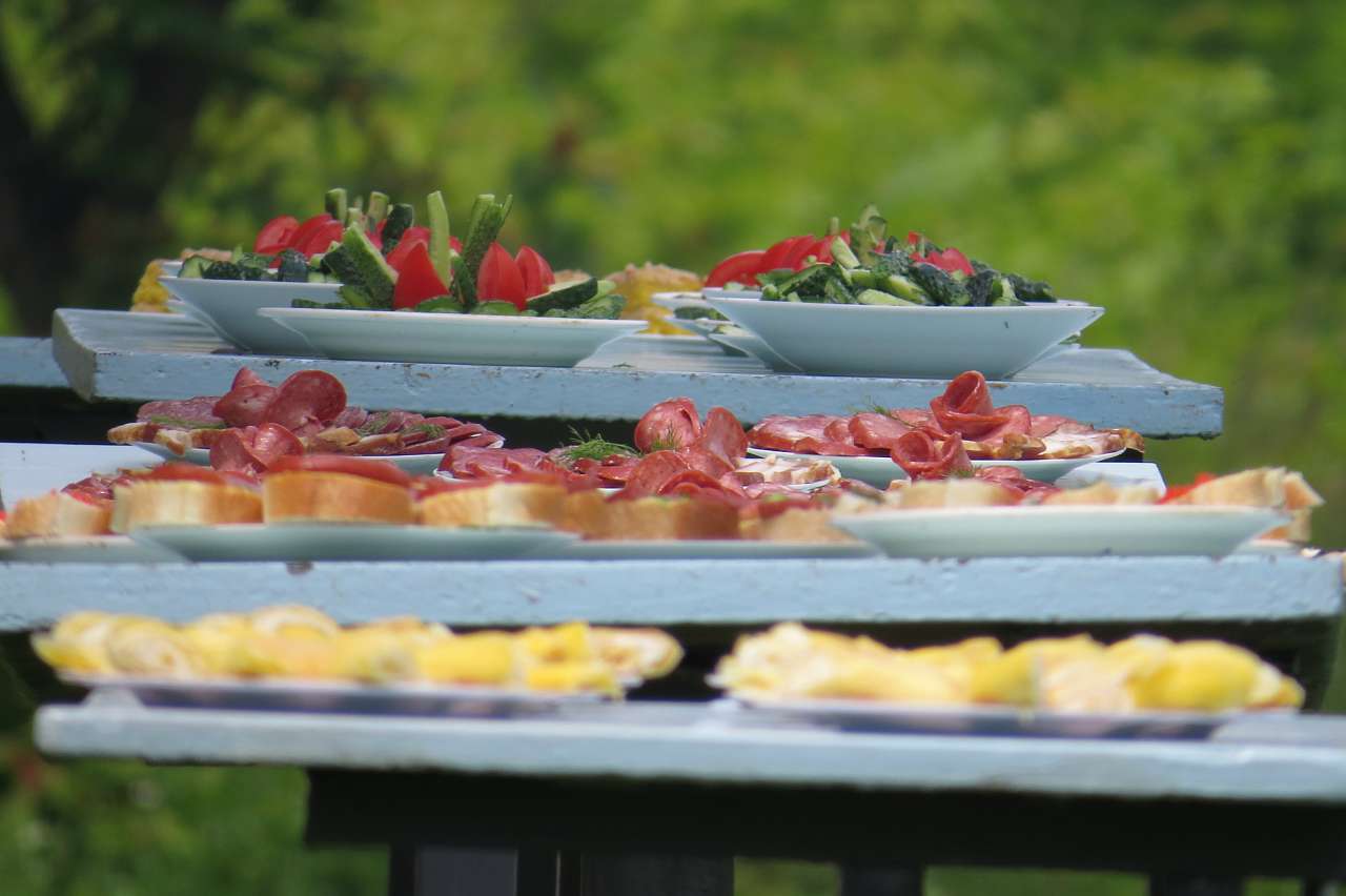 БОЧАНИЦЯ. МУЗЕЙНІ ГОСТИНИ 2016 - Бочаниця