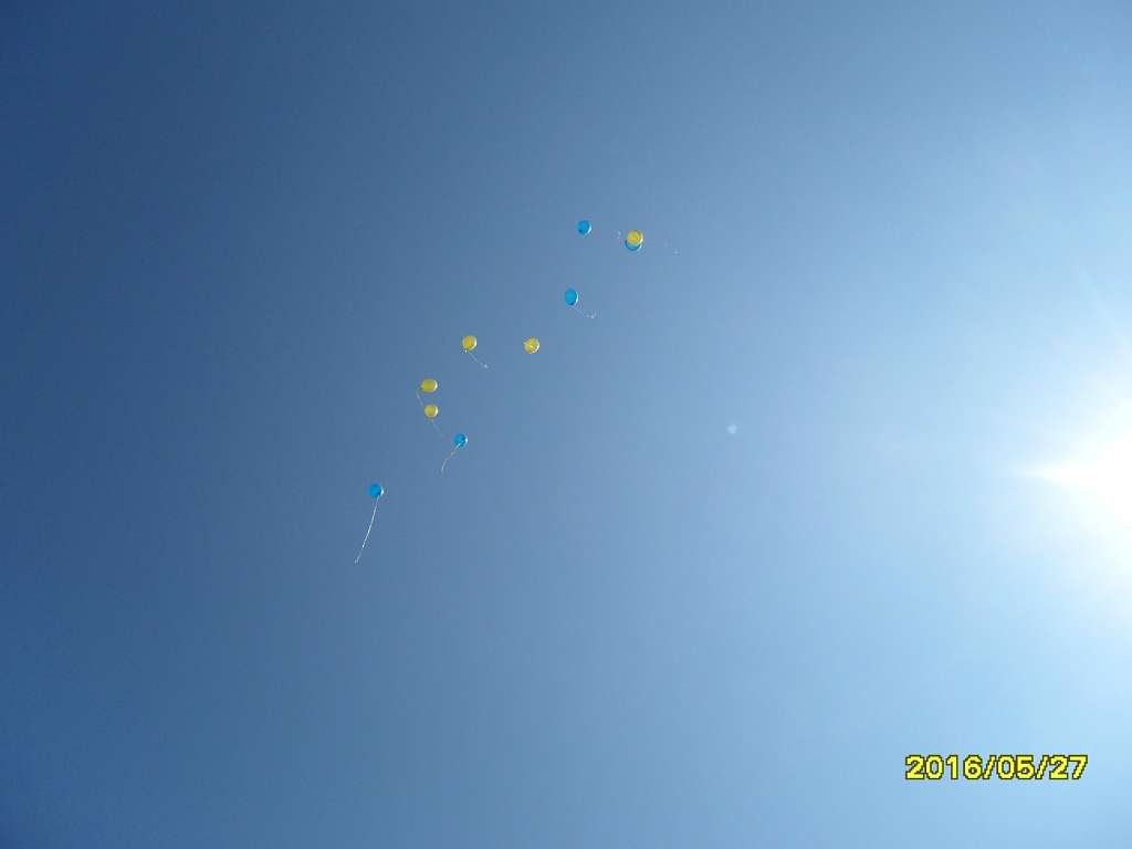 Останній дзвінок - Радомишль