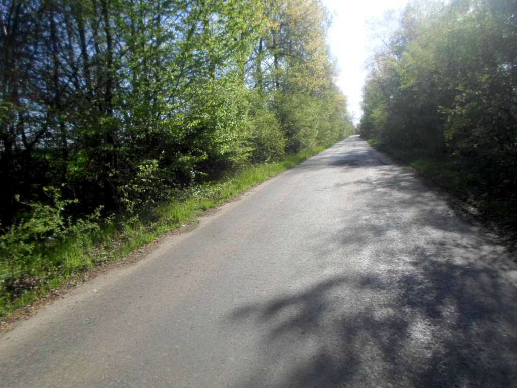 Краєвид - Sykhiv