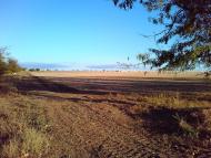 Андріївка з panoramio.com