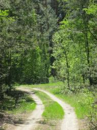 Жовтневе - Останні фото