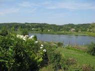 Дибинці з panoramio.com