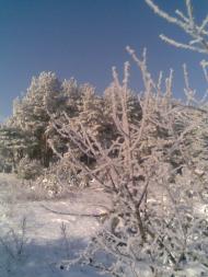 Пальчик - Останні фото