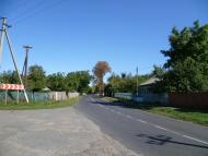 Гоголеве з panoramio.com