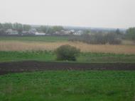 Нижче Солоне з panoramio.com