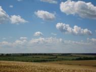 Майорщина з panoramio.com