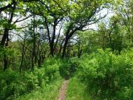 Торез з panoramio.com (ч.2)