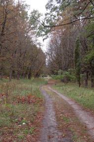 Сорокове з panoramio.com