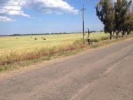 Старопетровка - Последние фото