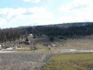 Домниця з panoramio.com