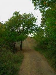 Нагірне з panoramio.com