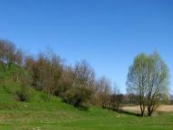 Манжосівка з panoramio.com