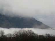 Лаванда з panoramio.com (ч.2)