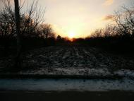 Мачухи з panoramio.com