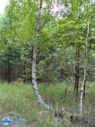 Вакулки з panoramio.com