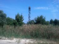 Галицинове з panoramio.com