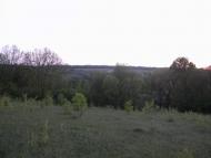 Лозова з panoramio.com