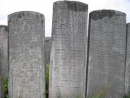 Броди з panoramio.com