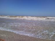 Миронівка - Останні фото