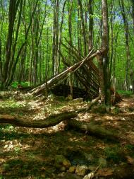 Чайковське з panoramio.com (ч.2)