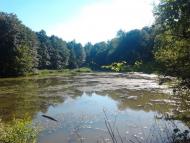 Солонське з panoramio.com