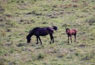 Рудливе з panoramio.com