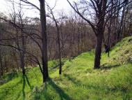 Манжосівка з panoramio.com