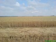 Вершина - Последние фото