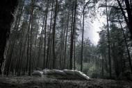 Терентіївка - Останні фото