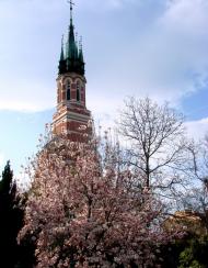 Вілюничі з panoramio.com