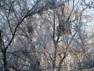 Перемишляни з panoramio.com