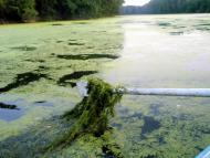 Щастя з panoramio.com