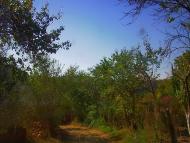 Верхоріччя з panoramio.com