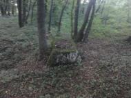 Солонське з panoramio.com